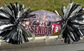 Custom Spirit pompoms
